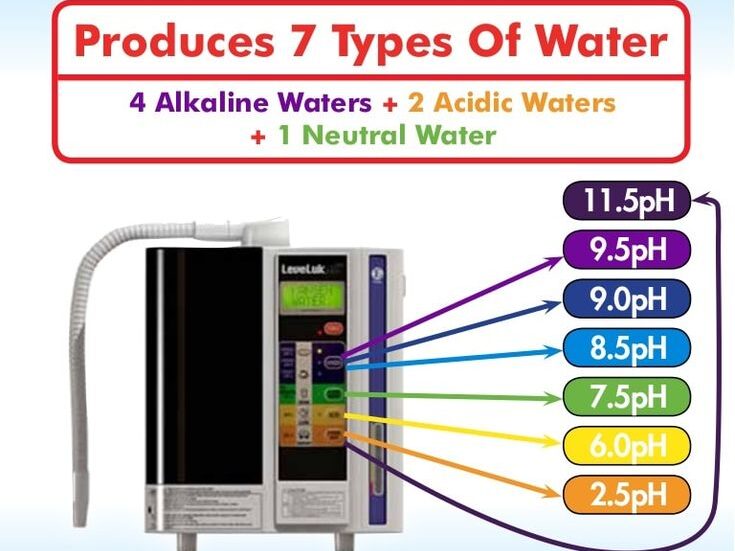 Kangen Alkaline Water Machine: types of water produced